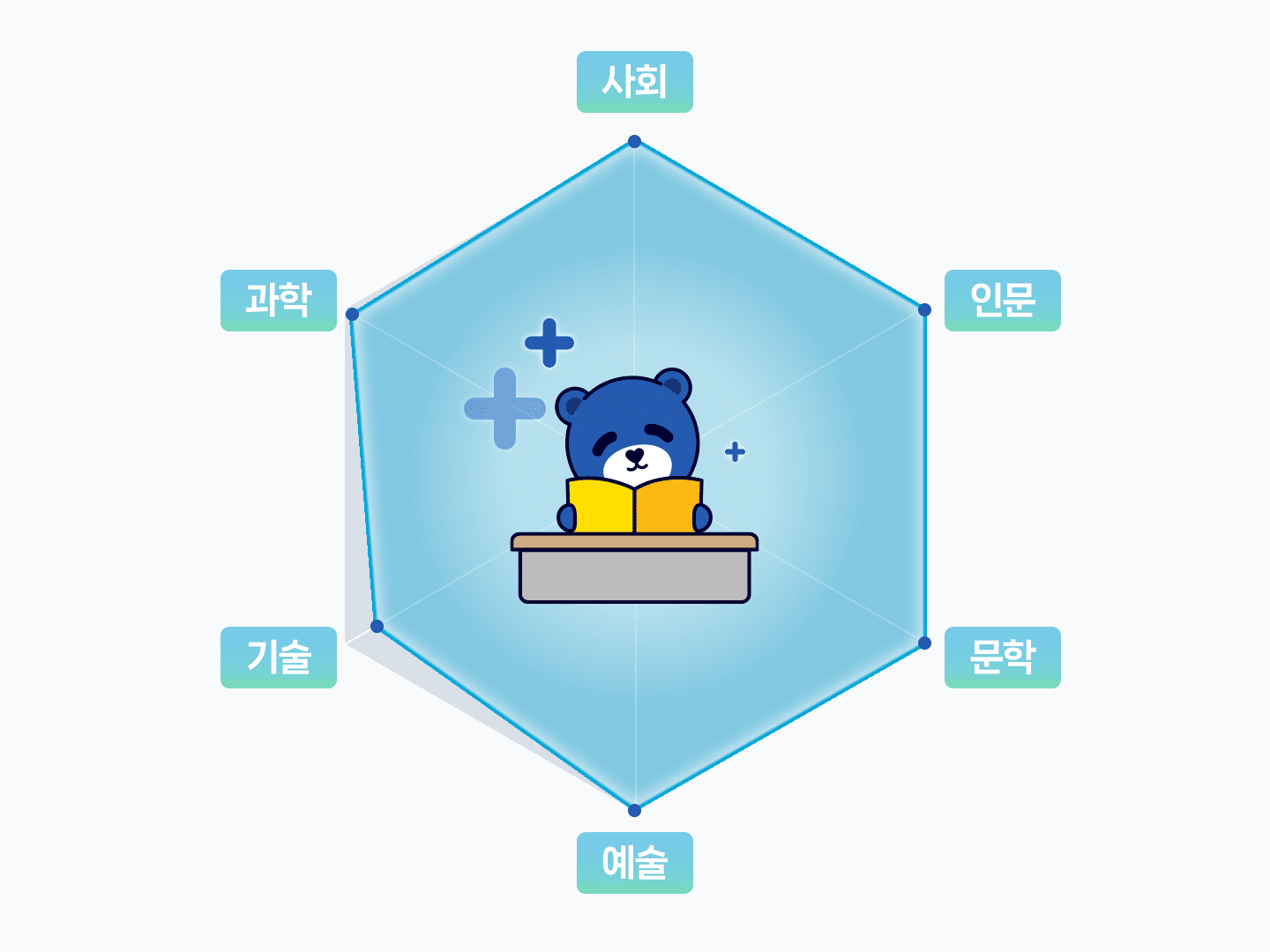 6개 영역 균형 학습 차트